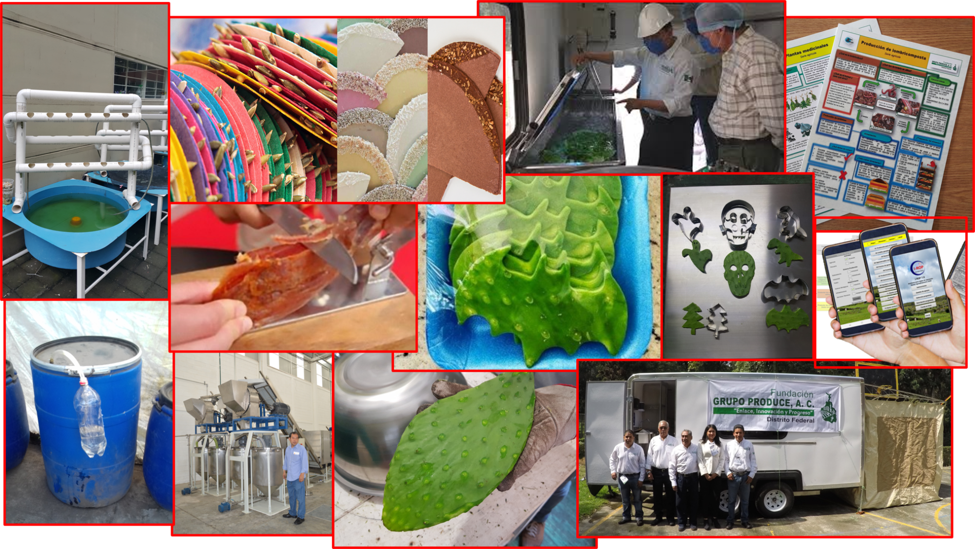Innovación agropecuaria