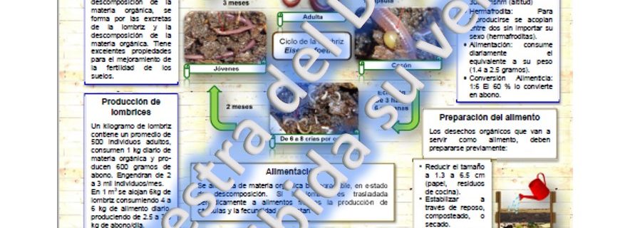 producción lombricomposta
